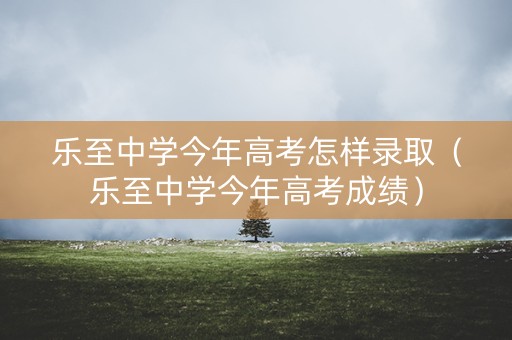 乐至中学今年高考怎样录取（乐至中学今年高考成绩）