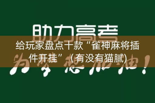 给玩家盘点十款“雀神麻将插件开挂”（有没有猫腻)