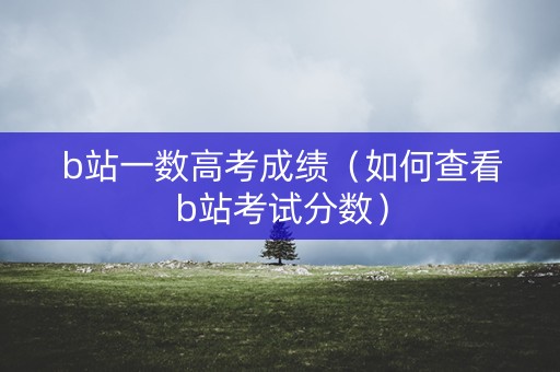 b站一数高考成绩（如何查看b站考试分数）