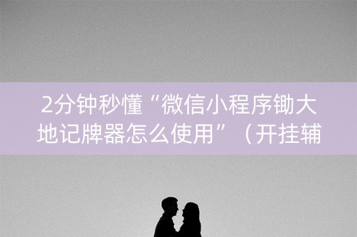 2分钟秒懂“微信小程序锄大地记牌器怎么使用”（开挂辅助器插件)