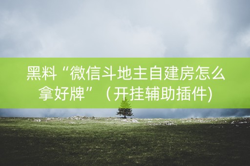 黑料“微信斗地主自建房怎么拿好牌”（开挂辅助插件)