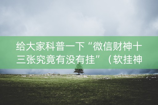 给大家科普一下“微信财神十三张究竟有没有挂”（软挂神器)