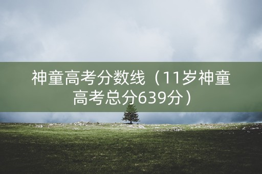 神童高考分数线（11岁神童高考总分639分）