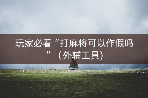 玩家必看“打麻将可以作假吗”（外辅工具)