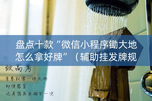 盘点十款“微信小程序锄大地怎么拿好牌”（辅助挂发牌规律)