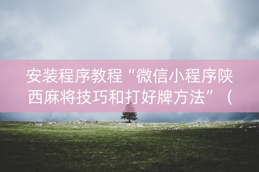 安装程序教程“微信小程序陕西麻将技巧和打好牌方法”（攻略插件)