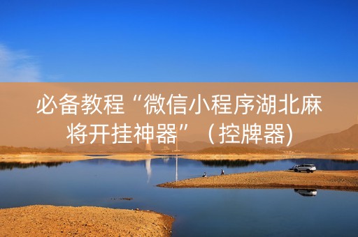 必备教程“微信小程序湖北麻将开挂神器”（控牌器)
