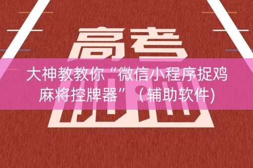 大神教教你“微信小程序捉鸡麻将控牌器”（辅助软件)