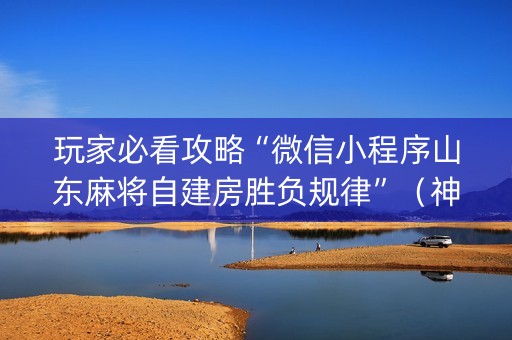 玩家必看攻略“微信小程序山东麻将自建房胜负规律”（神器最新免费)