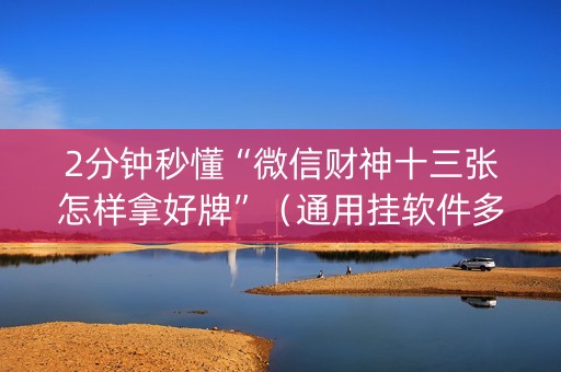 2分钟秒懂“微信财神十三张怎样拿好牌”（通用挂软件多少钱)