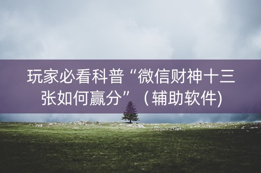 玩家必看科普“微信财神十三张如何赢分”（辅助软件)