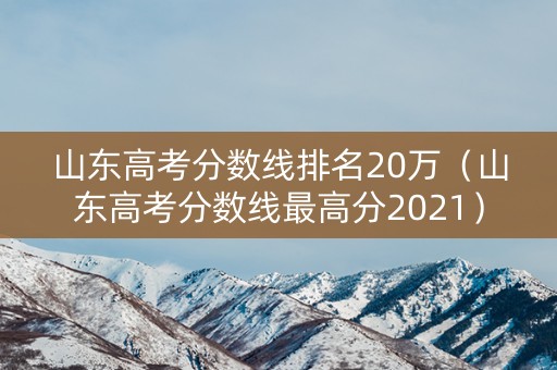 山东高考分数线排名20万（山东高考分数线最高分2021）