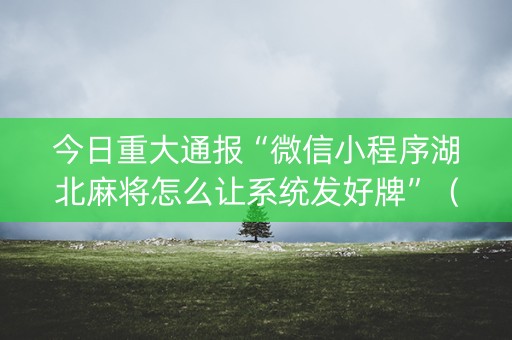 今日重大通报“微信小程序湖北麻将怎么让系统发好牌”（装挂怎么安装)