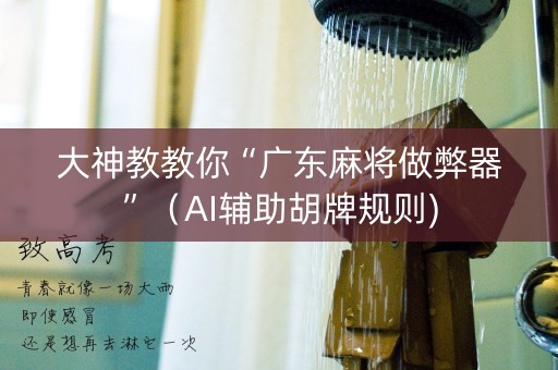 大神教教你“广东麻将做弊器”（AI辅助胡牌规则)