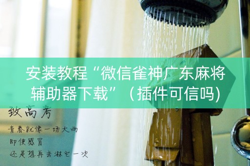 安装教程“微信雀神广东麻将辅助器下载”（插件可信吗)