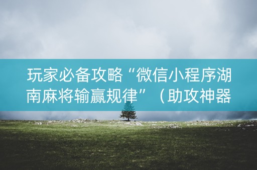 玩家必备攻略“微信小程序湖南麻将输赢规律”（助攻神器)