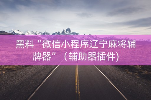 黑料“微信小程序辽宁麻将辅牌器”（辅助器插件)