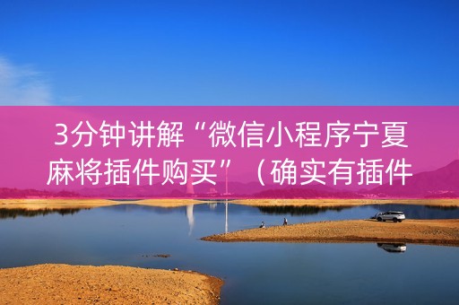3分钟讲解“微信小程序宁夏麻将插件购买”（确实有插件吗)