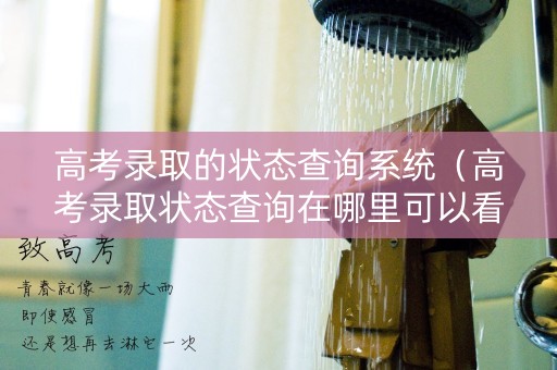 高考录取的状态查询系统（高考录取状态查询在哪里可以看到）