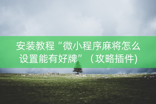 安装教程“微小程序麻将怎么设置能有好牌”（攻略插件)