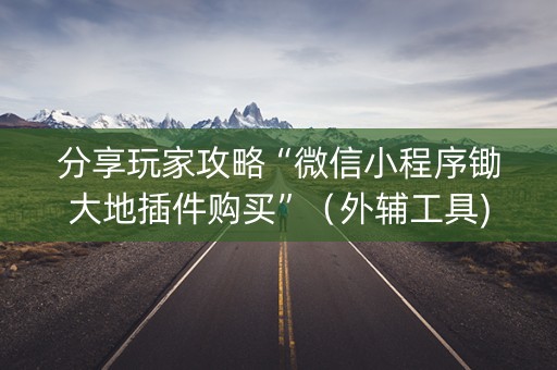 分享玩家攻略“微信小程序锄大地插件购买”（外辅工具)