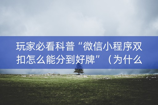 玩家必看科普“微信小程序双扣怎么能分到好牌”（为什么有人一直赢)