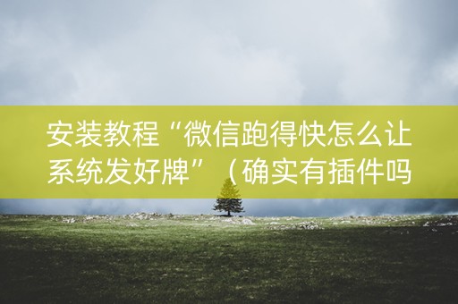 安装教程“微信跑得快怎么让系统发好牌”（确实有插件吗)
