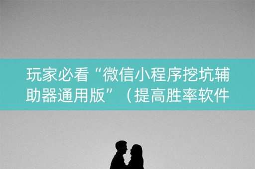 玩家必看“微信小程序挖坑辅助器通用版”（提高胜率软件)