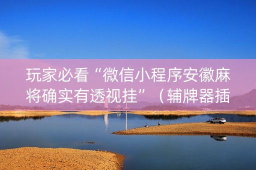 玩家必看“微信小程序安徽麻将确实有透视挂”（辅牌器插件购买)