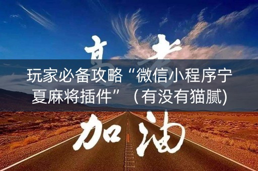 玩家必备攻略“微信小程序宁夏麻将插件”（有没有猫腻)