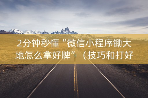 2分钟秒懂“微信小程序锄大地怎么拿好牌”（技巧和打好牌方法)