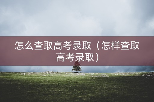 怎么查取高考录取（怎样查取高考录取）