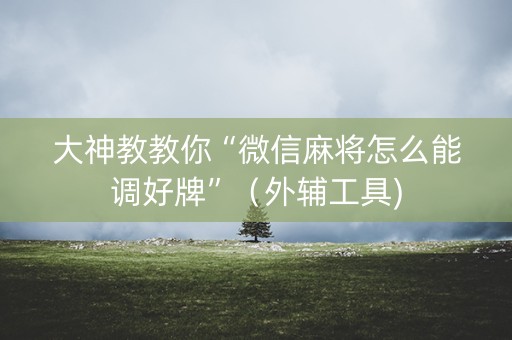 大神教教你“微信麻将怎么能调好牌”（外辅工具)