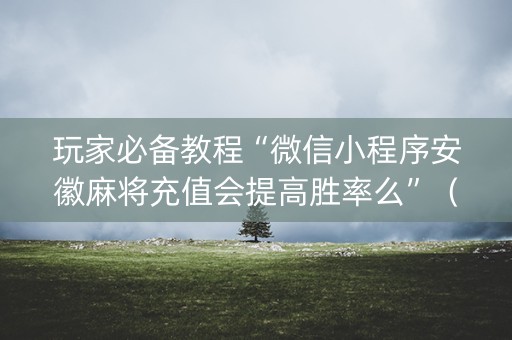 玩家必备教程“微信小程序安徽麻将充值会提高胜率么”（辅牌器插件购买)