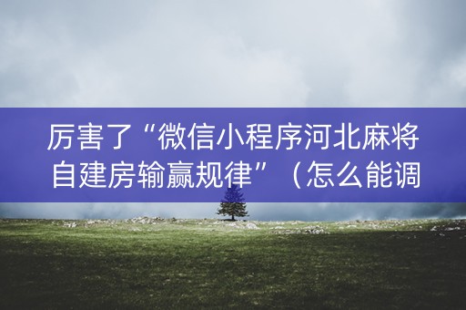 厉害了“微信小程序河北麻将自建房输赢规律”（怎么能调好牌)