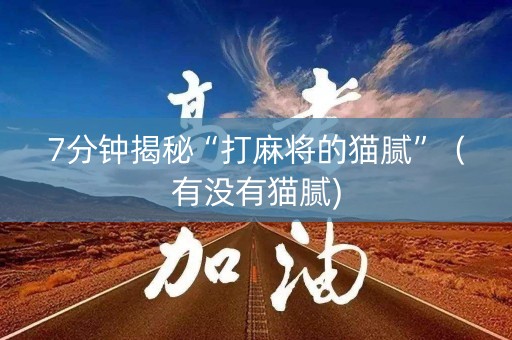 7分钟揭秘“打麻将的猫腻”（有没有猫腻)