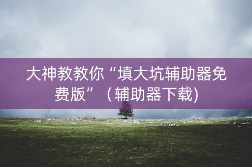 大神教教你“填大坑辅助器免费版”（辅助器下载)
