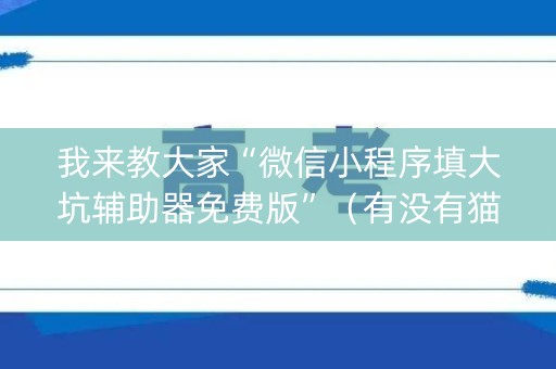 我来教大家“微信小程序填大坑辅助器免费版”（有没有猫腻)