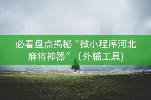 必看盘点揭秘“微小程序河北麻将神器”（外辅工具)