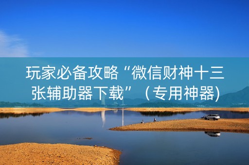 玩家必备攻略“微信财神十三张辅助器下载”（专用神器)