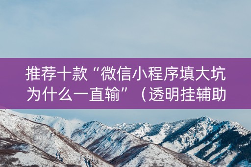 推荐十款“微信小程序填大坑为什么一直输”（透明挂辅助器)
