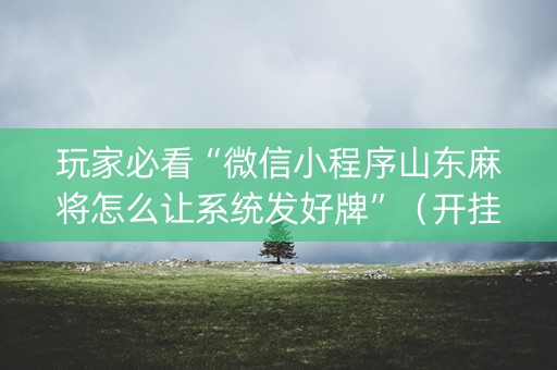 玩家必看“微信小程序山东麻将怎么让系统发好牌”（开挂辅助器插件)