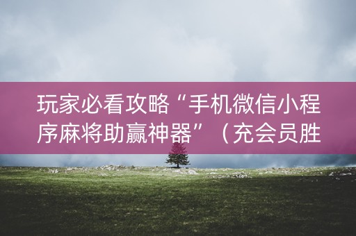 玩家必看攻略“手机微信小程序麻将助赢神器”（充会员胜率高)