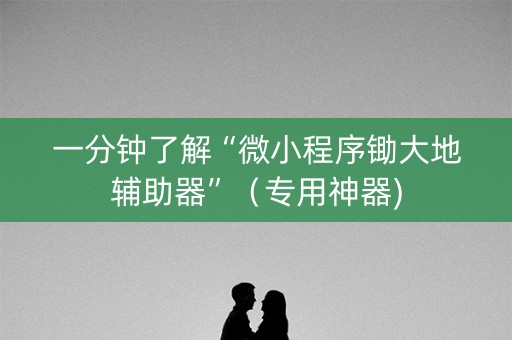 一分钟了解“微小程序锄大地辅助器”（专用神器)