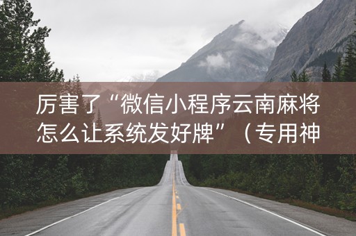 厉害了“微信小程序云南麻将怎么让系统发好牌”（专用神器)