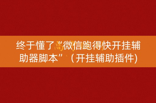 终于懂了“微信跑得快开挂辅助器脚本”（开挂辅助插件)