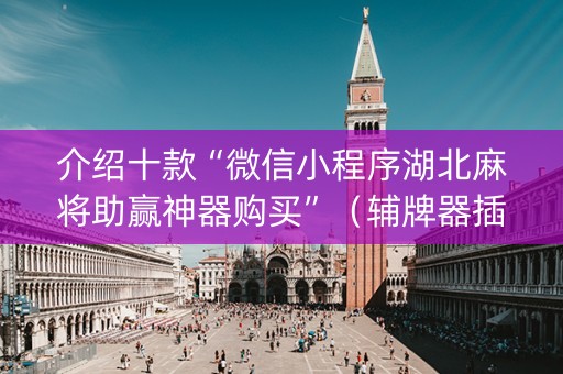 介绍十款“微信小程序湖北麻将助赢神器购买”（辅牌器插件购买)