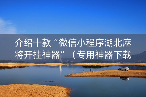 介绍十款“微信小程序湖北麻将开挂神器”（专用神器下载)