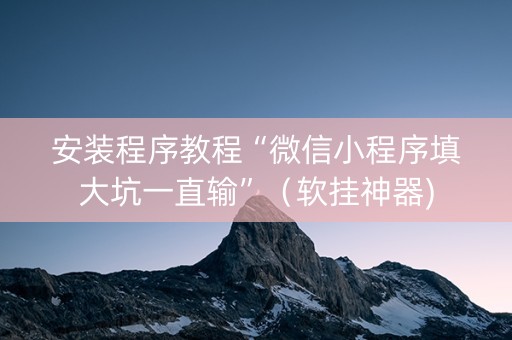 安装程序教程“微信小程序填大坑一直输”（软挂神器)