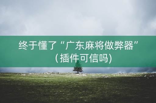 终于懂了“广东麻将做弊器”（插件可信吗)